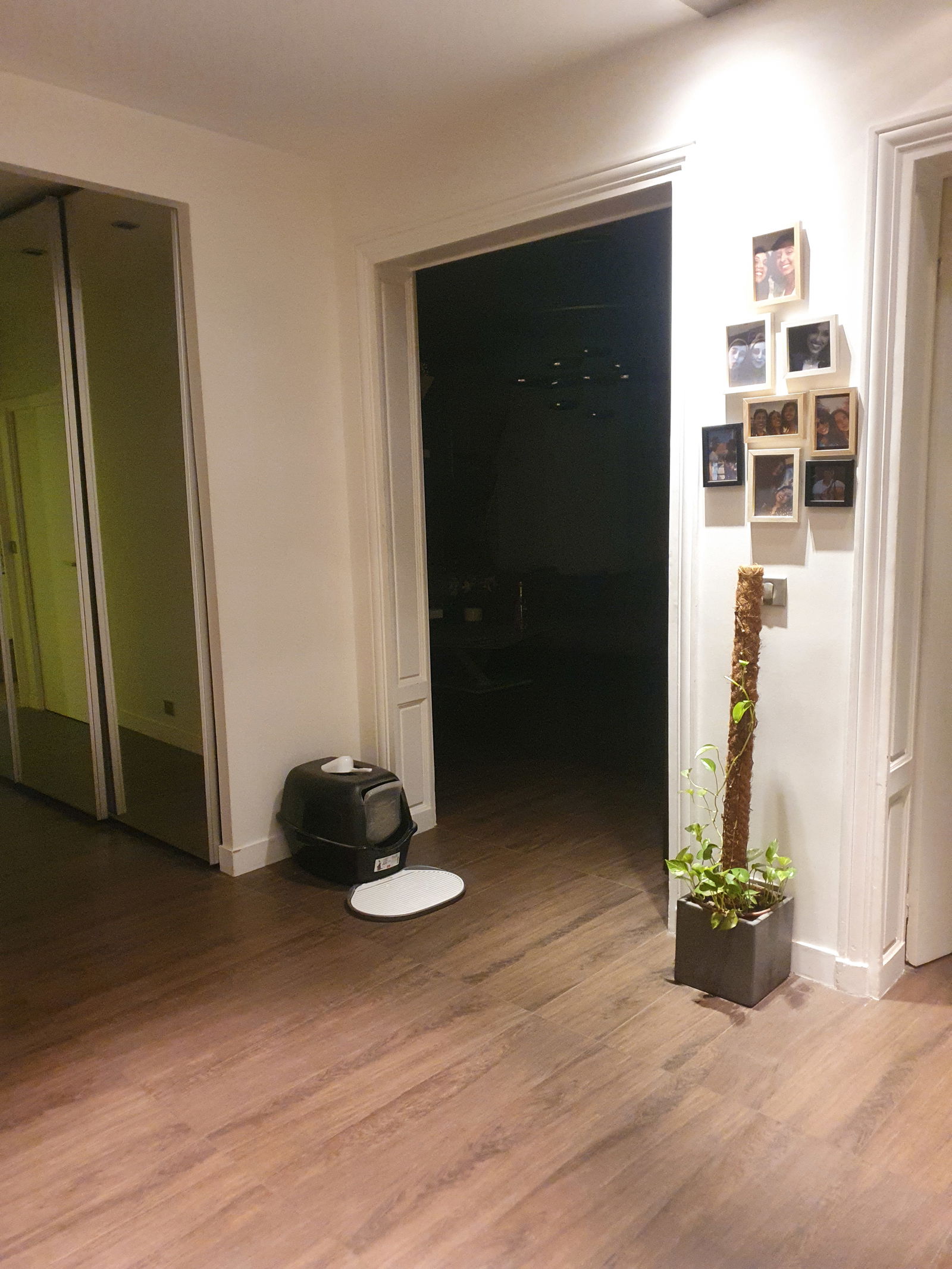 Colocatie Paris 401808