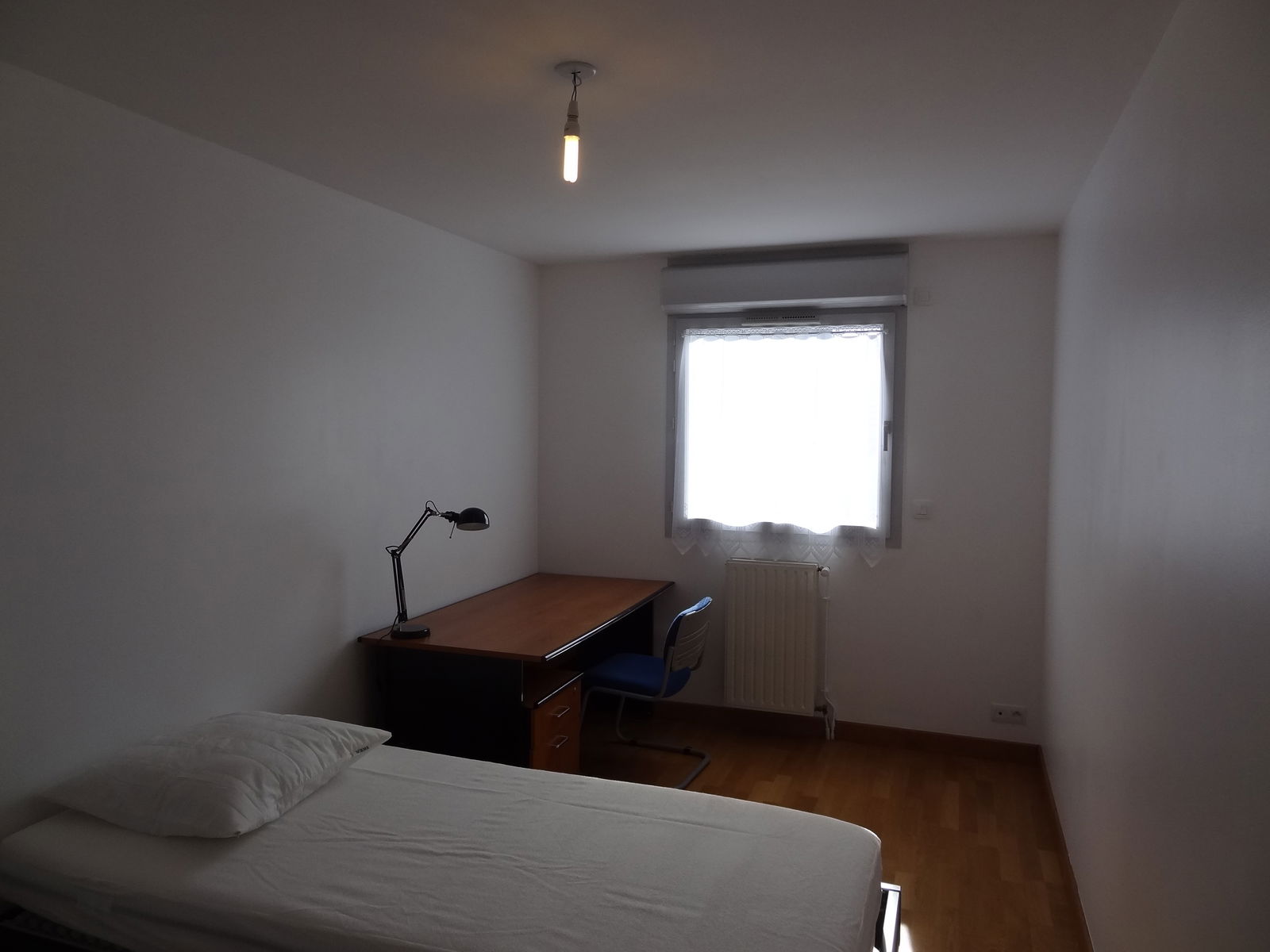 Kolokasie Rennes 247834