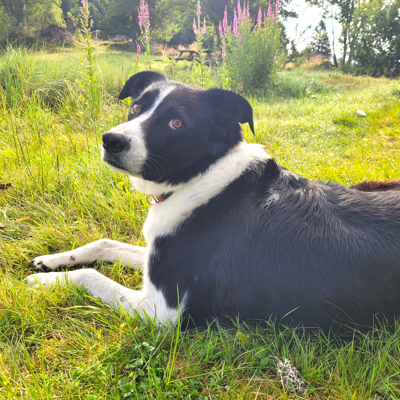 Tuisverblyf Montanaire 251938