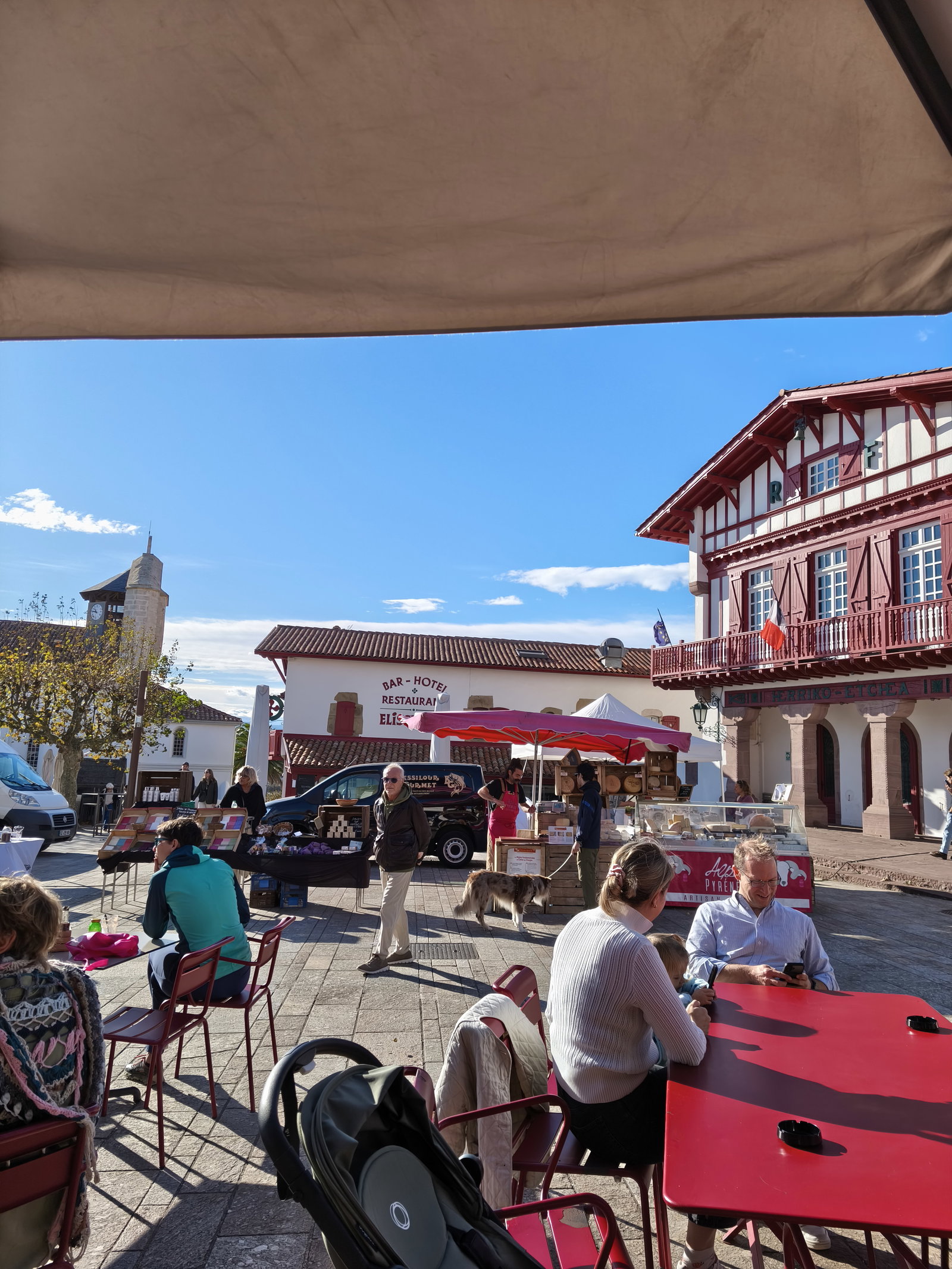 Kolokasie Bidart 660664