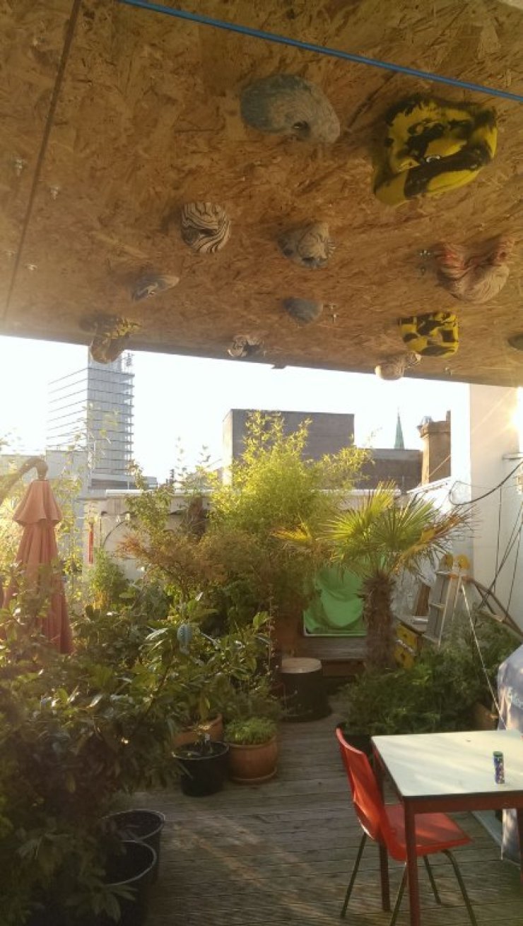 Kolokasie Düsseldorf 640795