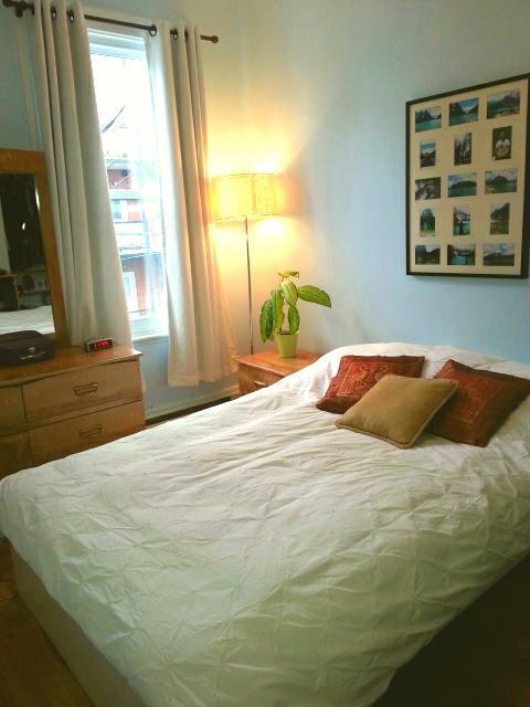 Kolokasie Montréal 116894