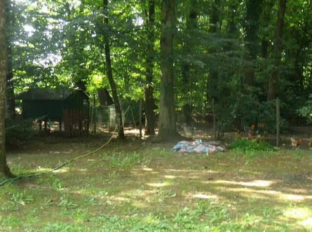 Gastgezin Kervignac 10972