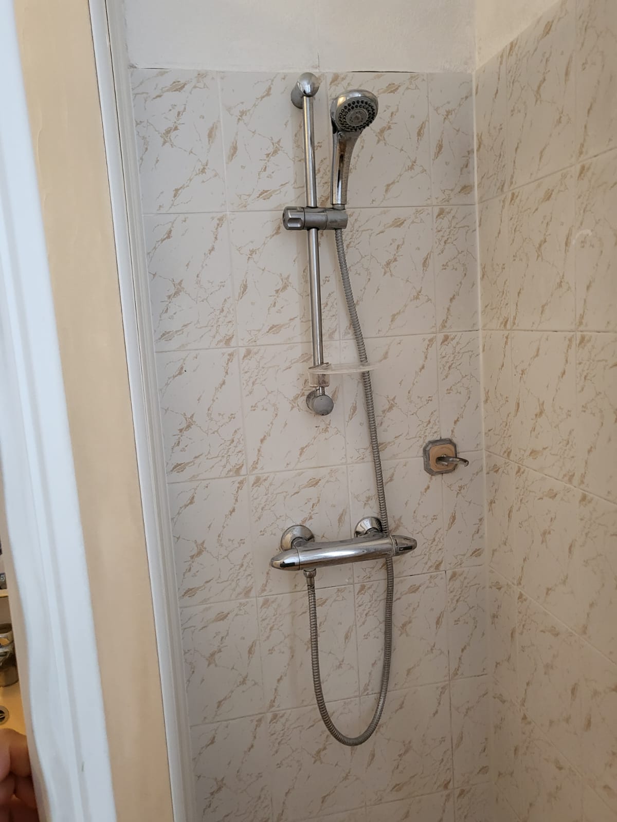 Kolokasie Montigny-le-Bretonneux 596349