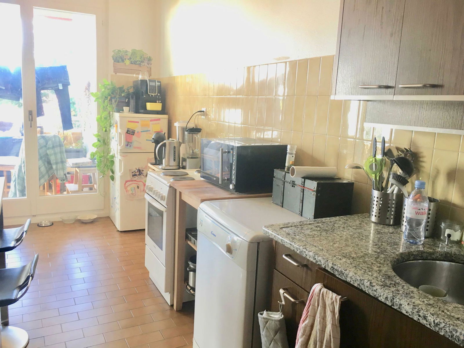 Kolokasie Versoix 261020