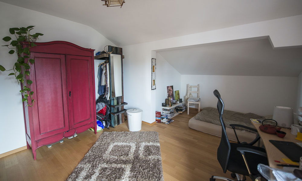 Kolokasie Fribourg 116524