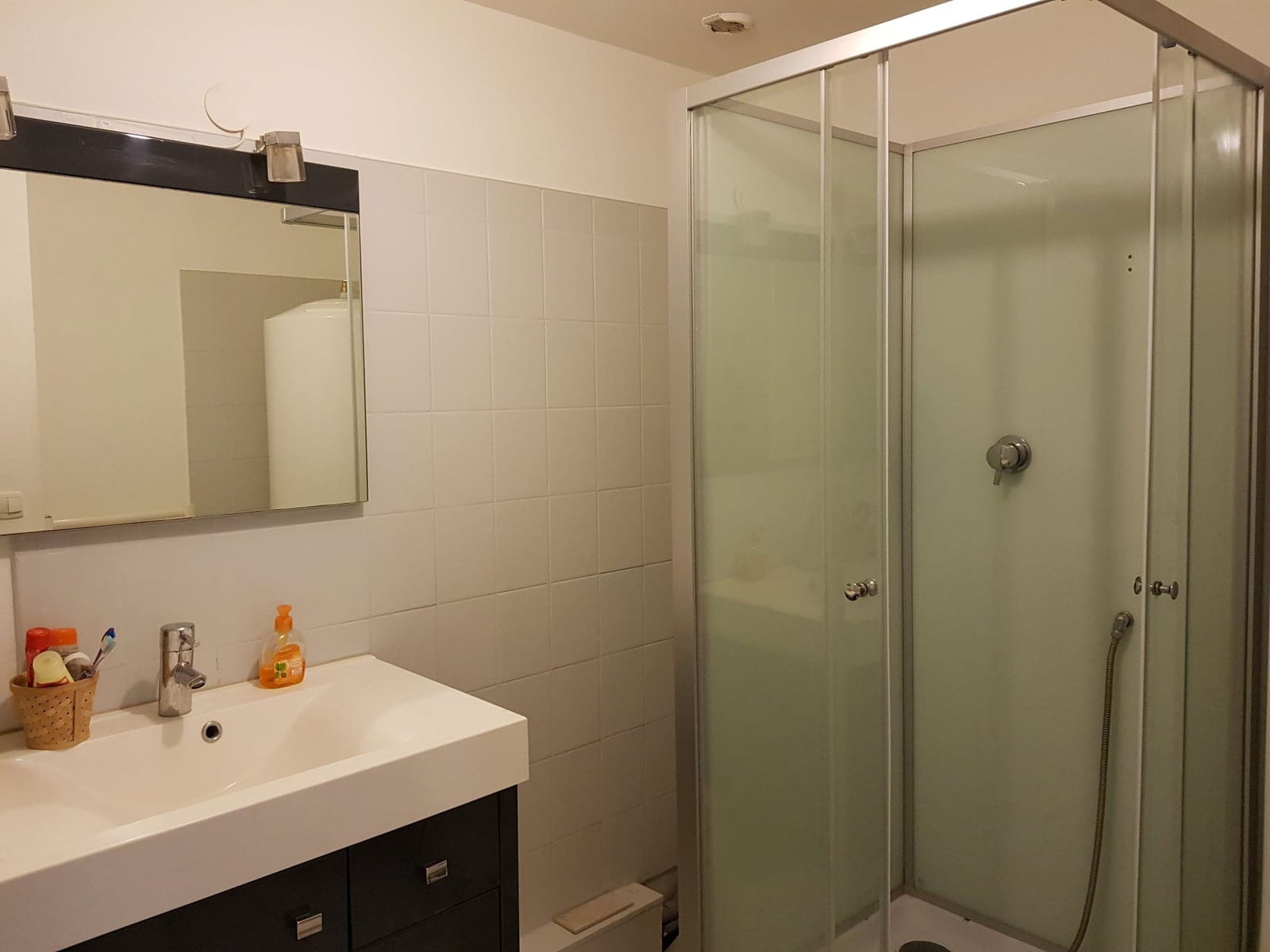 Kolokasie Thionville 477079