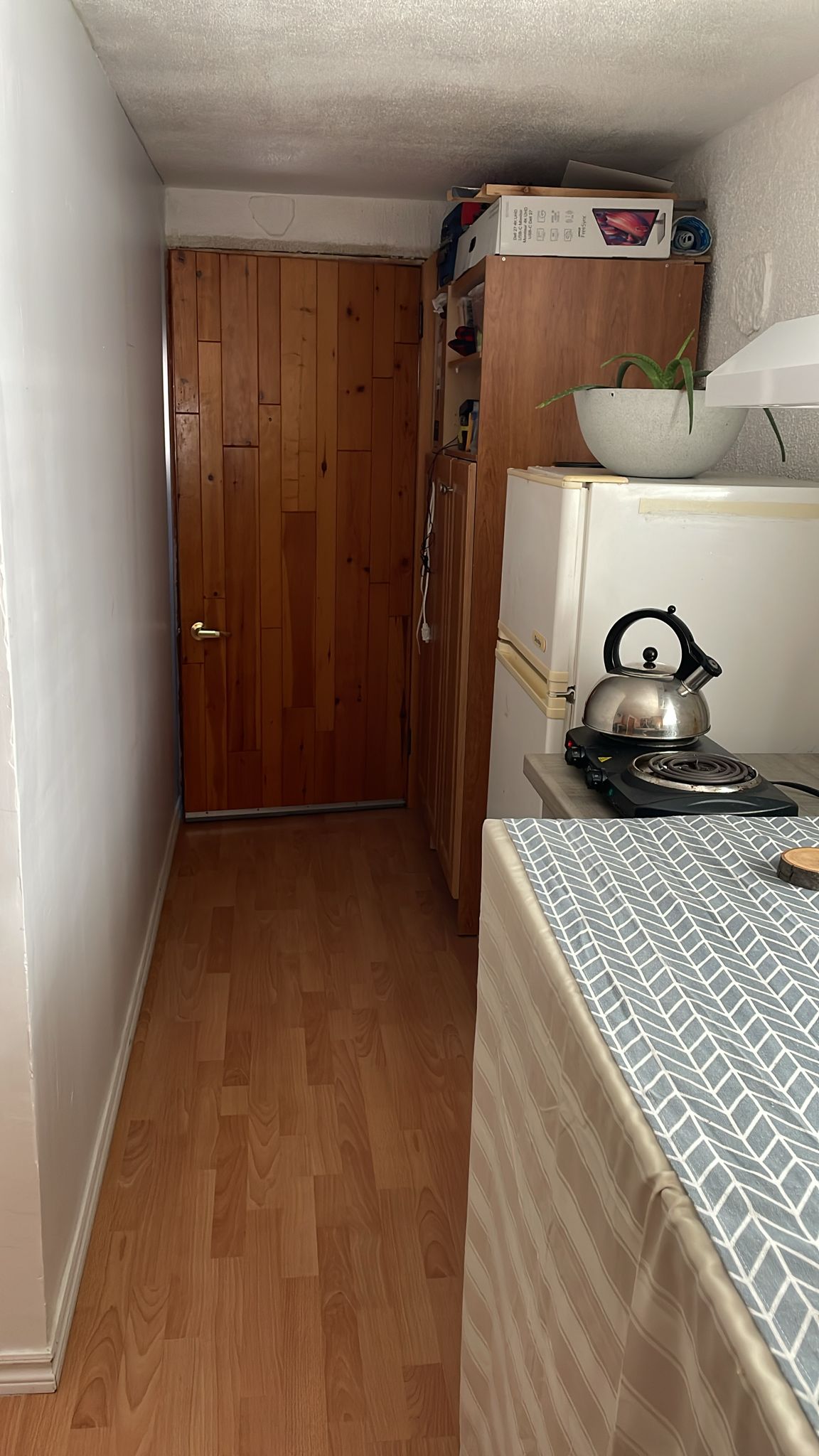 Kolokasie Montréal 471253