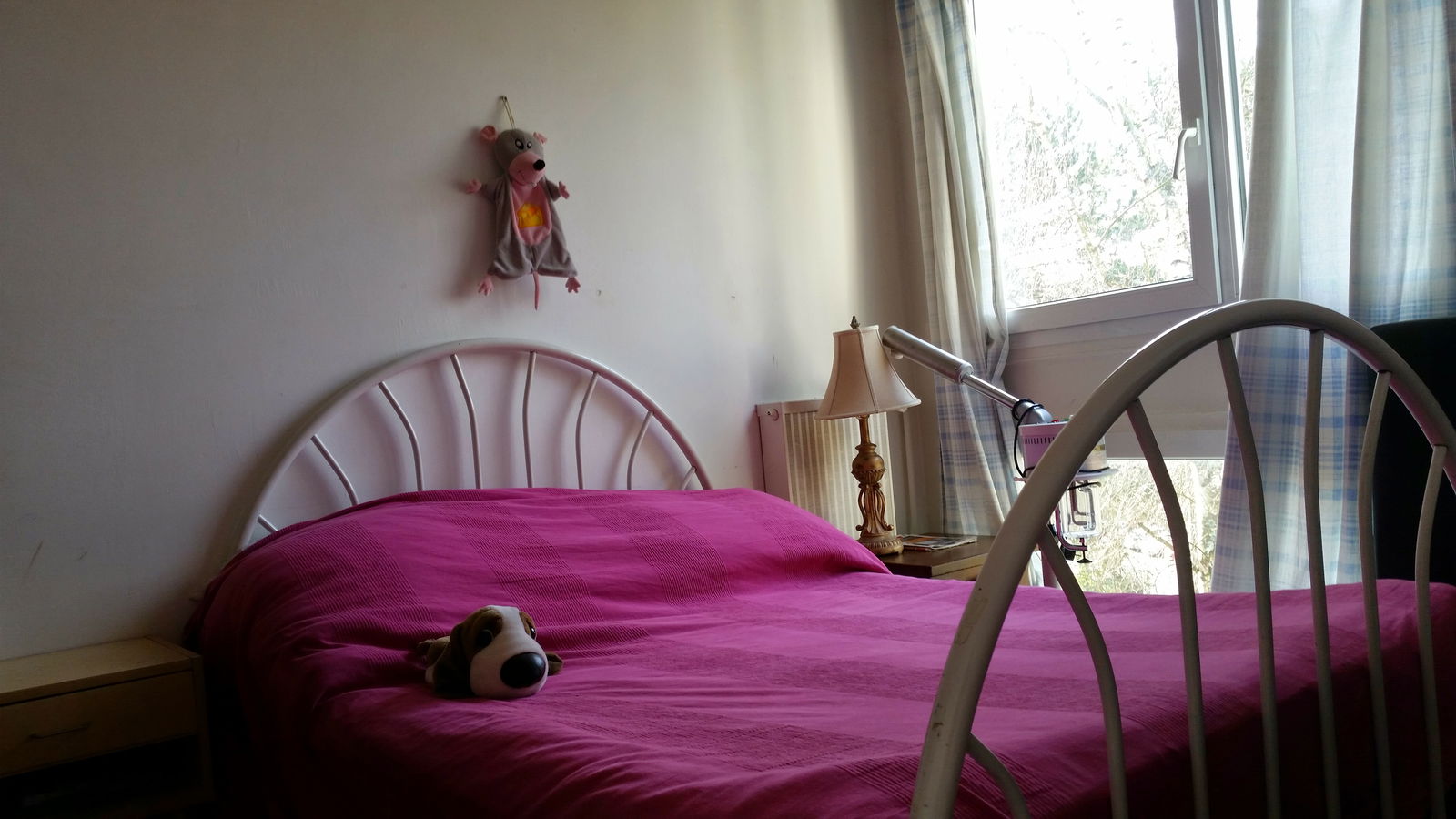 Kolokasie Les Ulis 99815