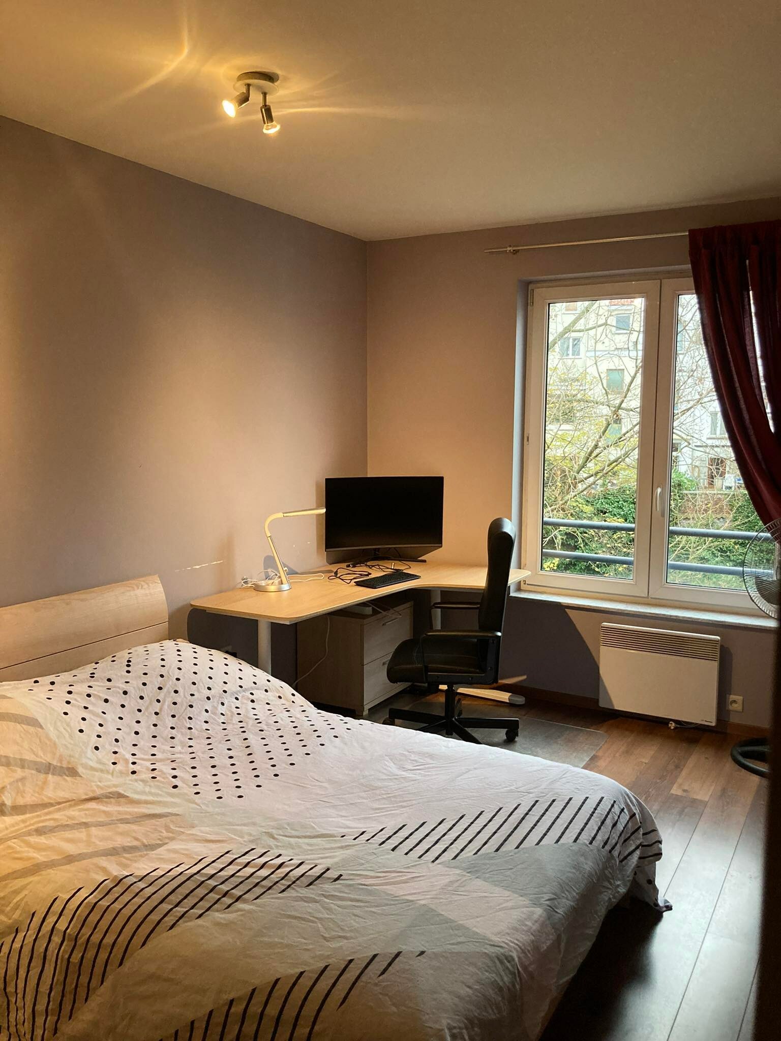 Kolokasie Etterbeek 255008