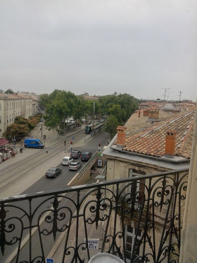 Kolokasie Montpellier 250697