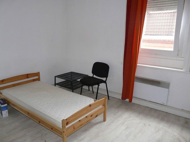 Kolokasie Lille 567955