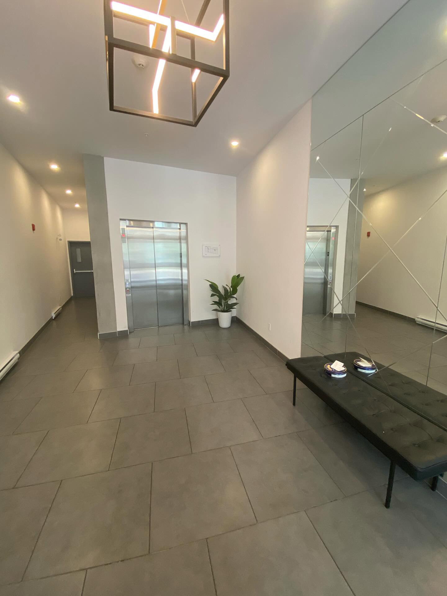 Kolokasie Montréal 663563