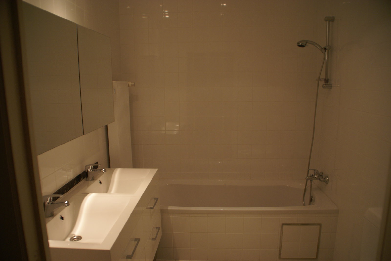 Kolokasie Bruxelles 110171