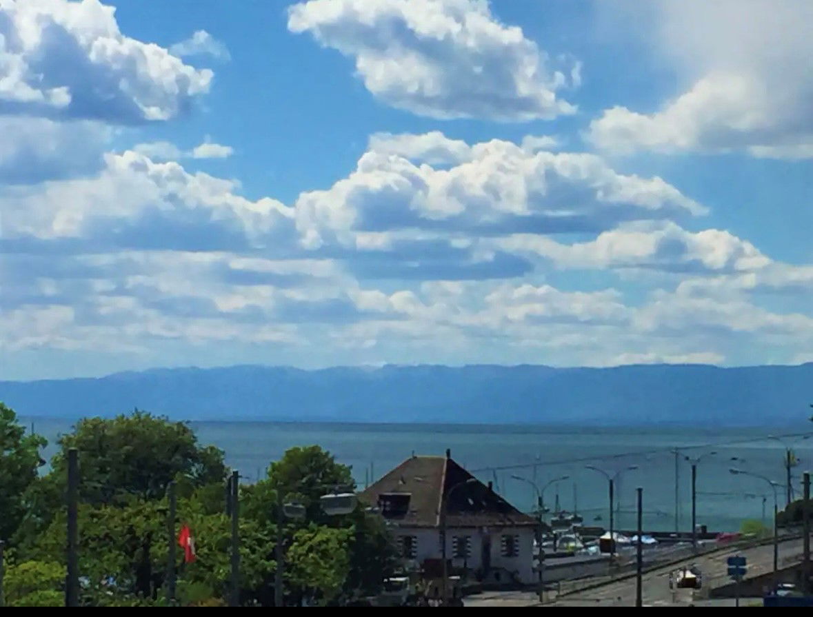 Kolokasie Lutry 204832