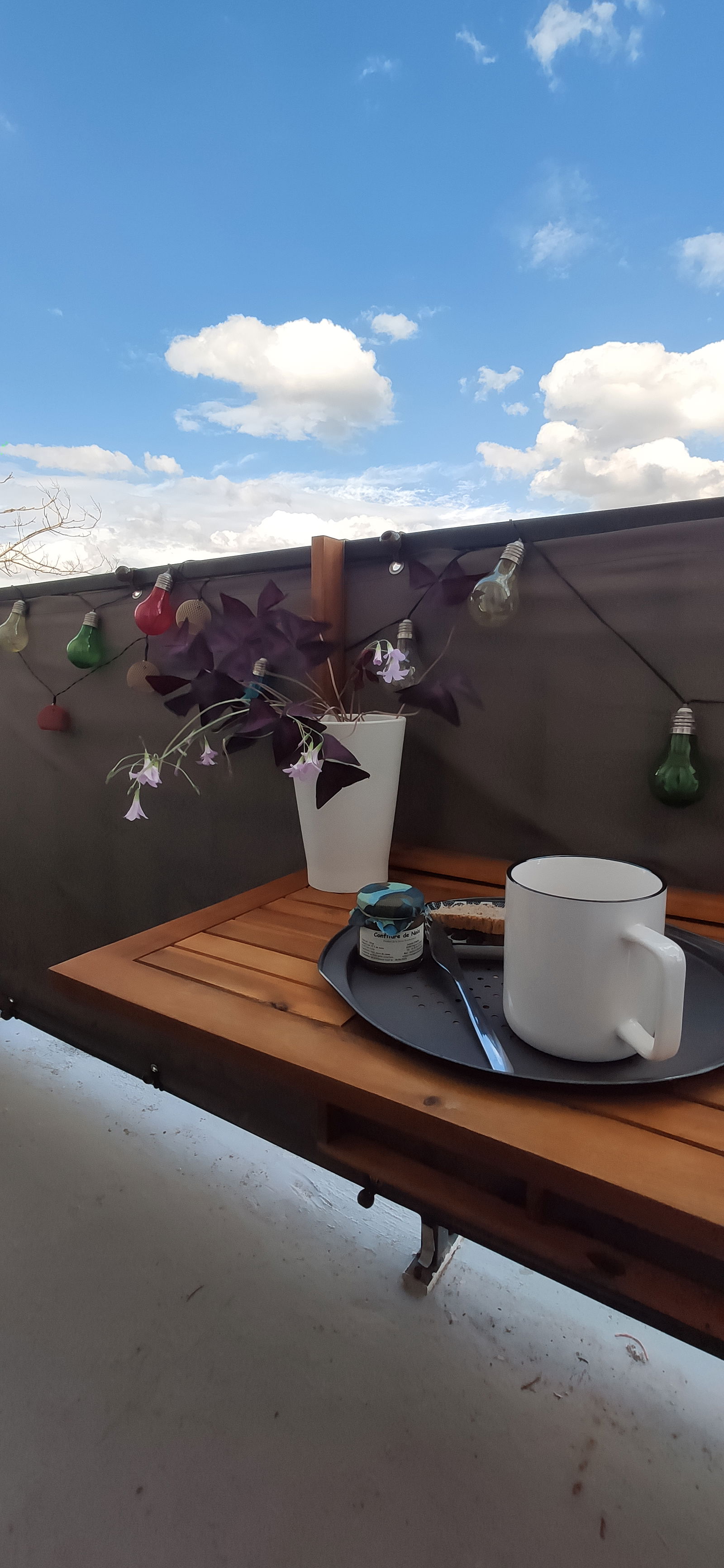 Homestay Châtenay-Malabry 413290