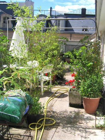 Homestay Paris 7217
