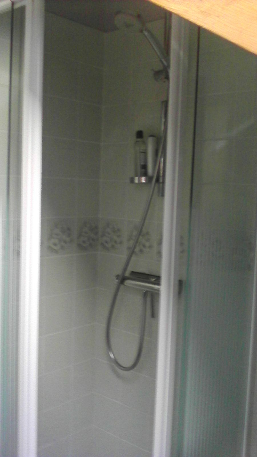 Homestay Seynod 114361