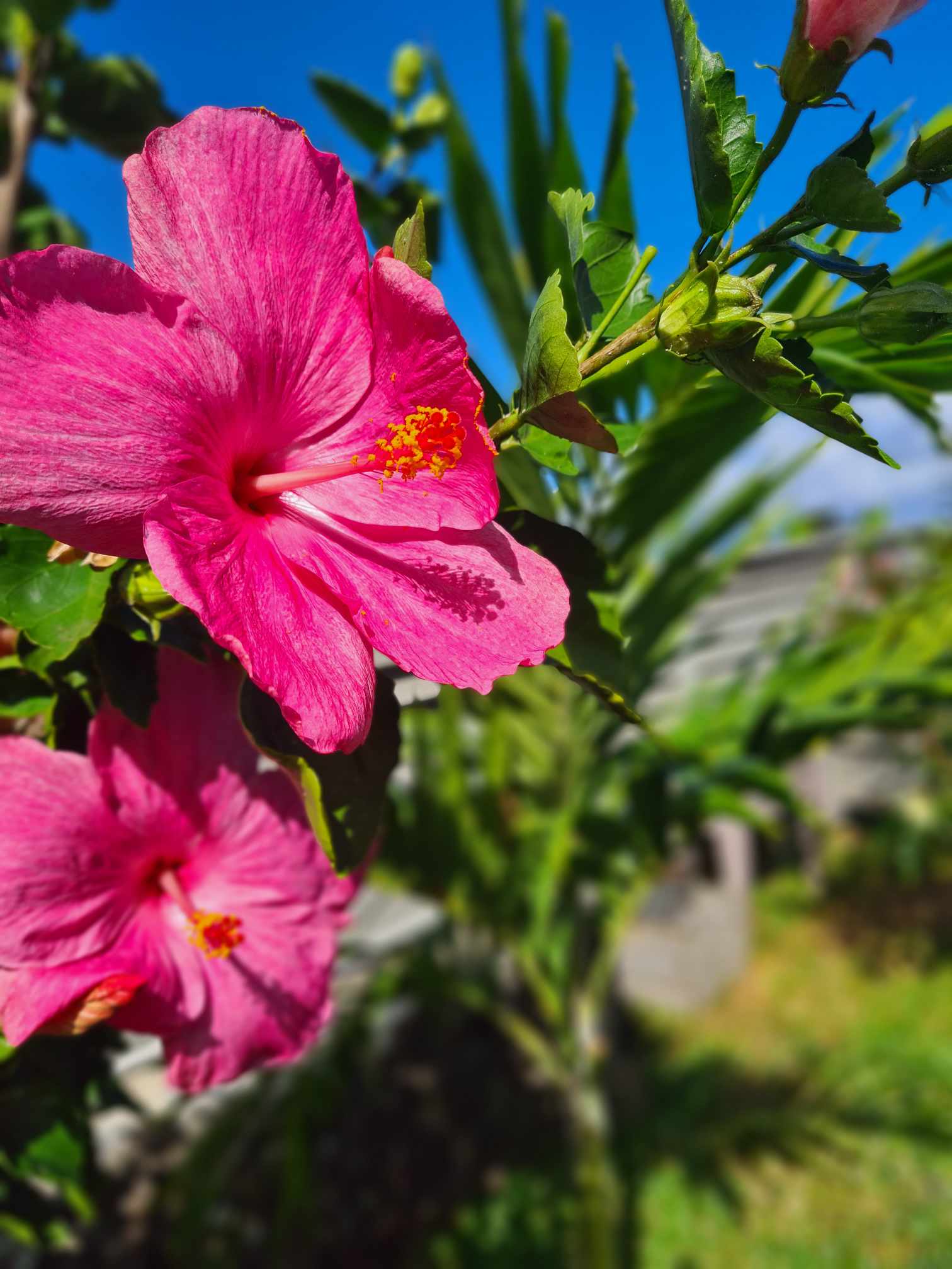 Homestay Saint Pierre 58436