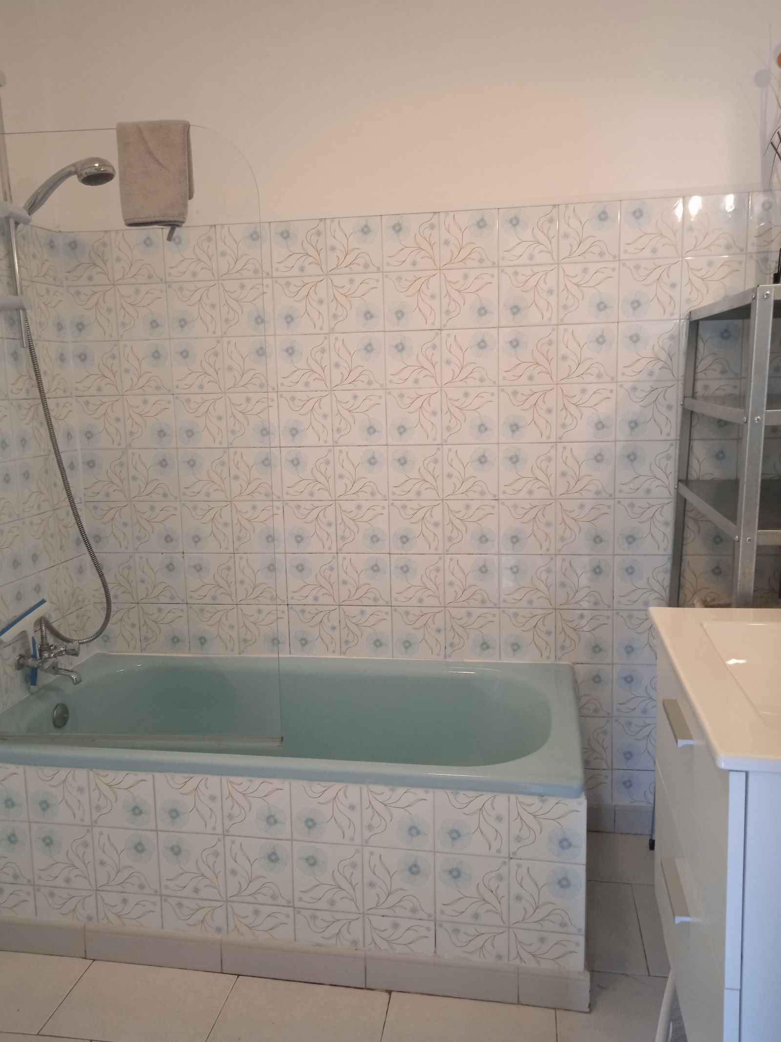 Ganz Haus Firmi 250810