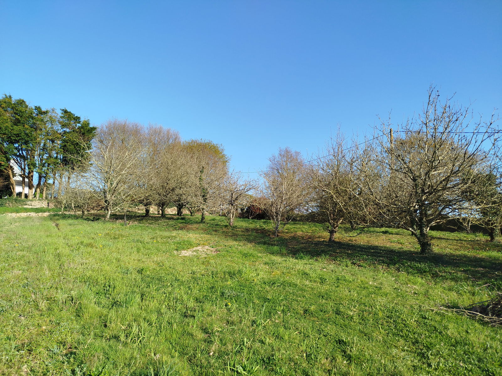 Homestay Landévant 605505