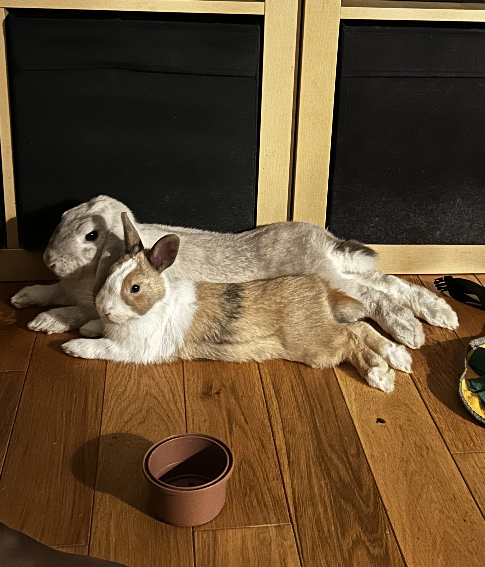 Homestay Châtillon 661489