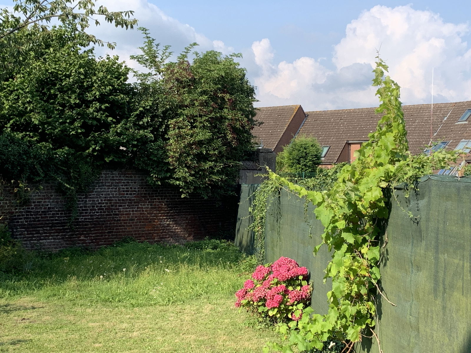 Homestay Lille 414705