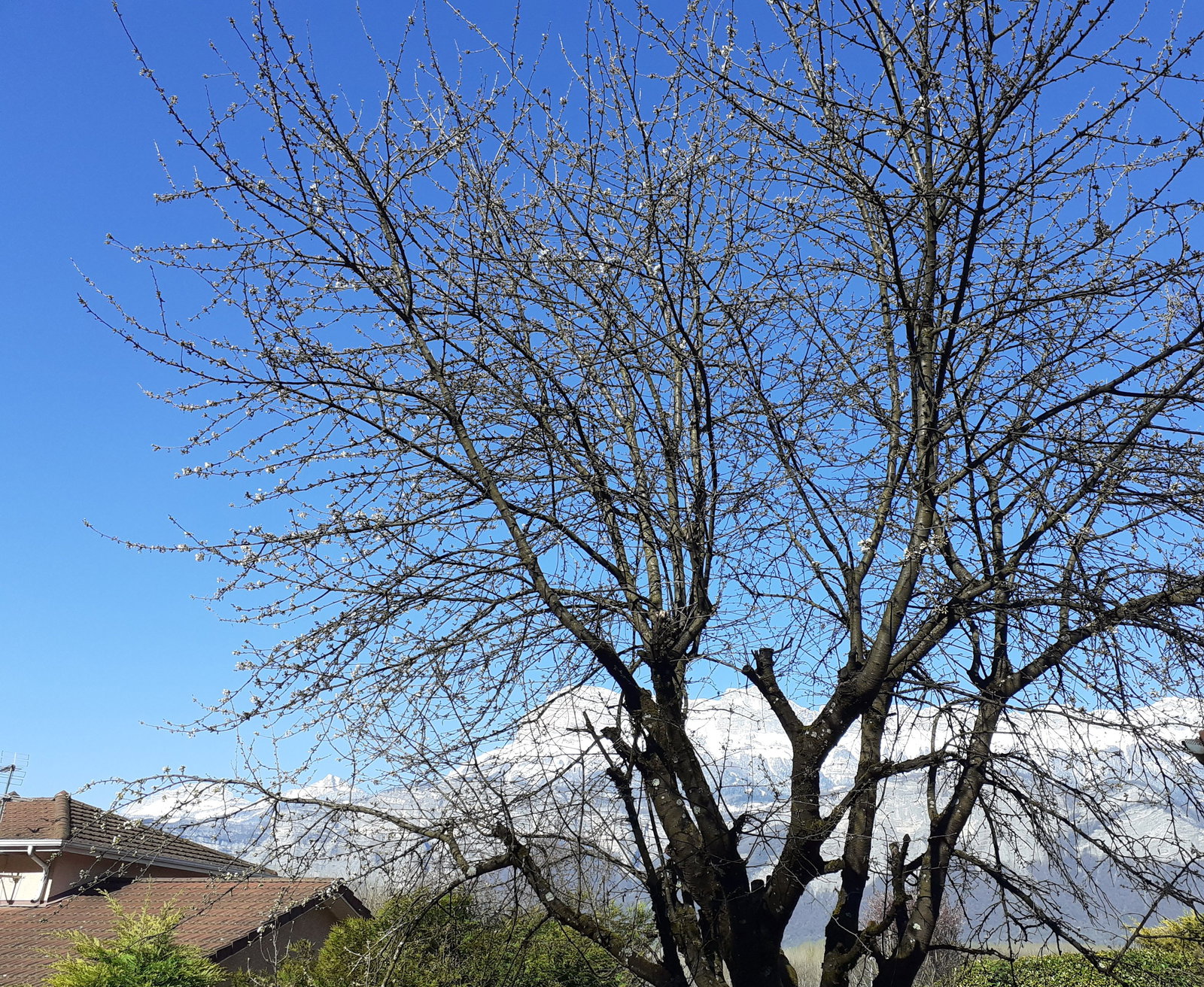 Homestay La Pierre 636515