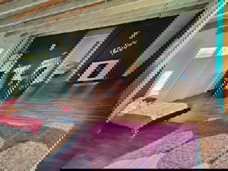 Logement Entier Biberist 496802-1