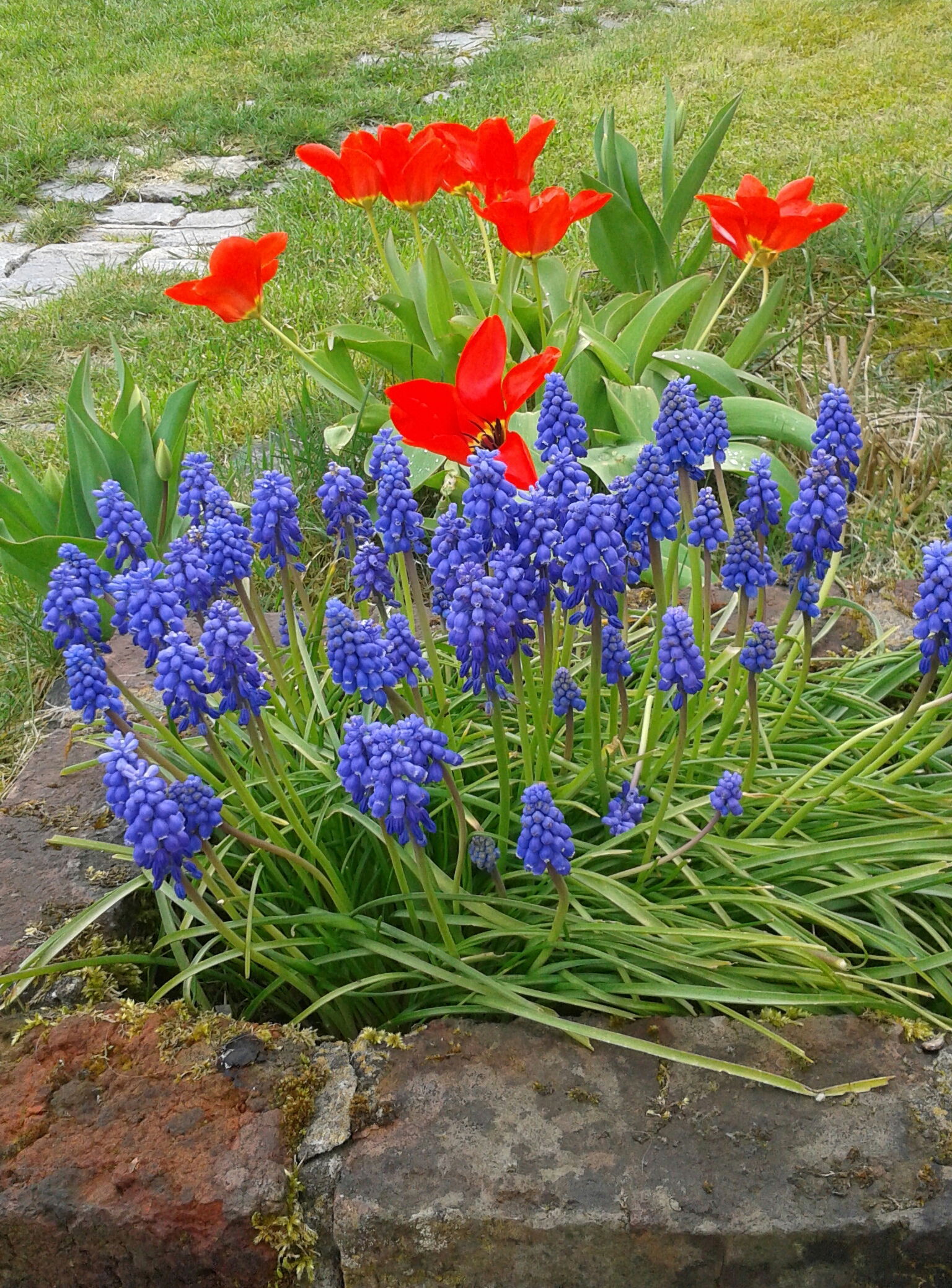 Gastfamilie Pont-à-Celles 169950