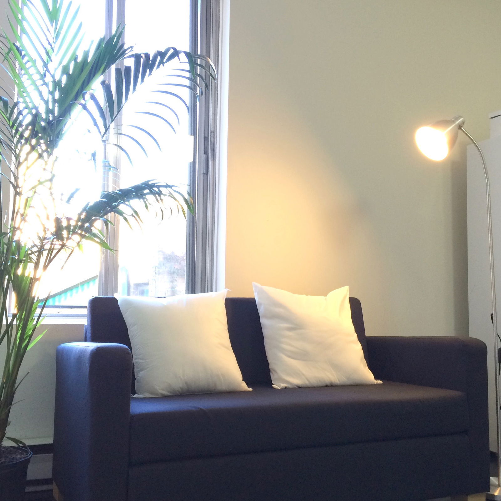 Kolokation Montréal 152859