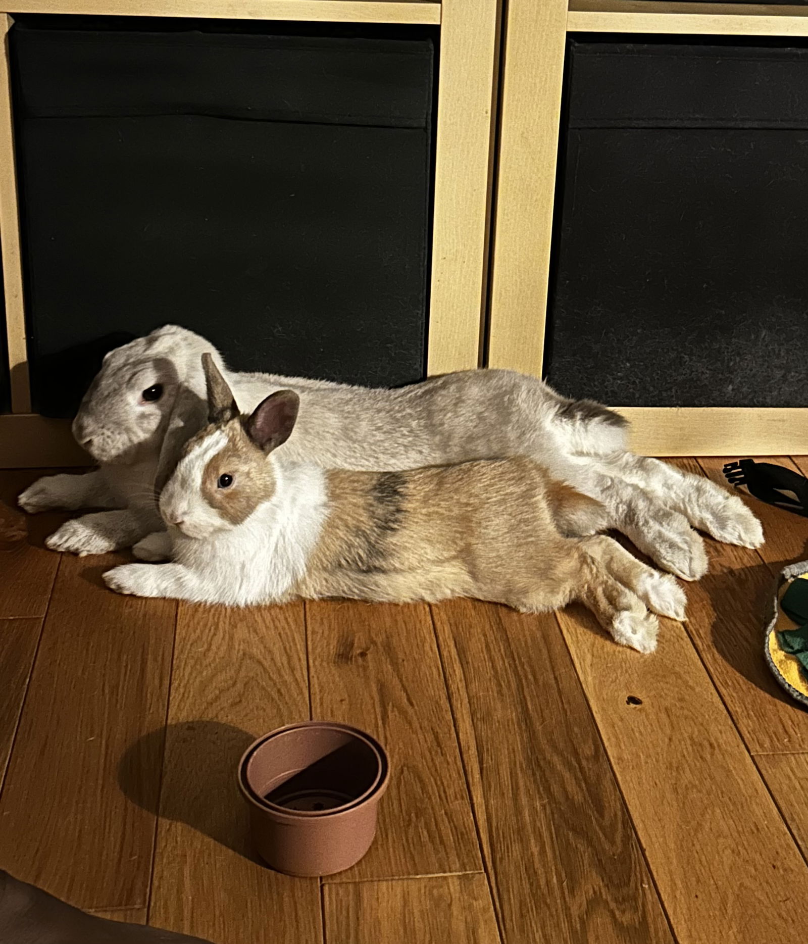 Gastfamilie Châtillon 661489