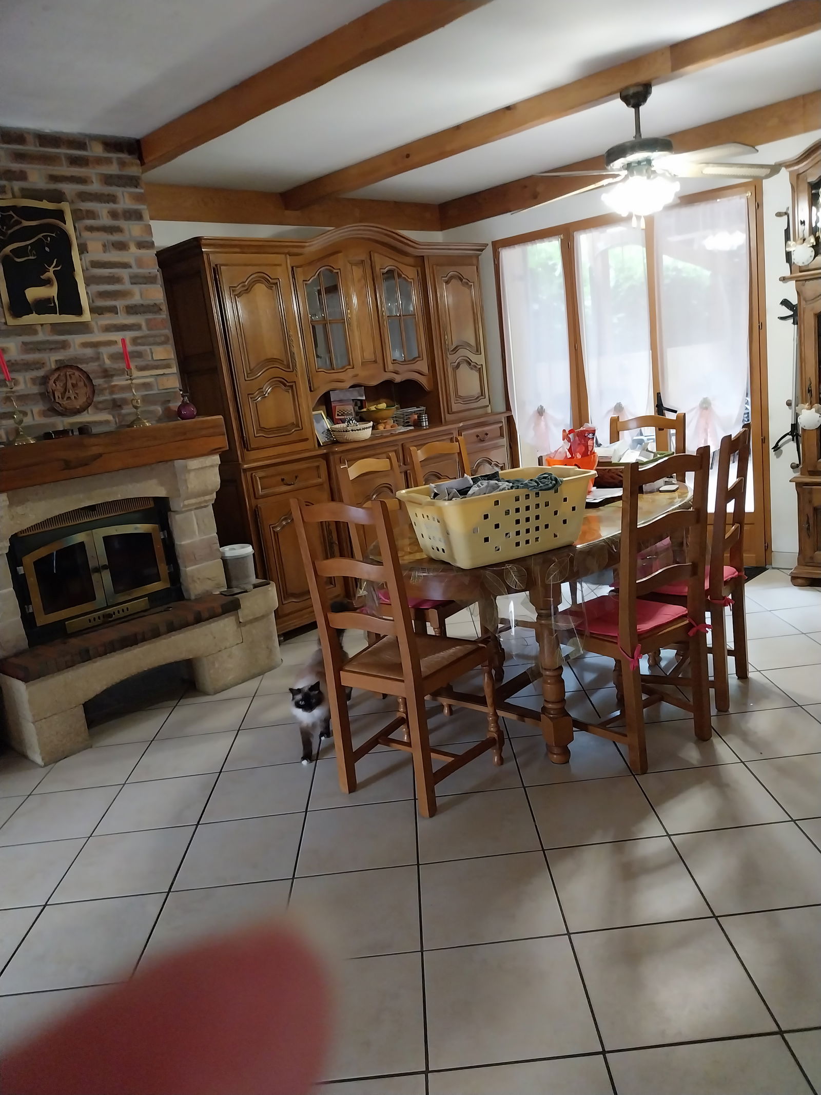 Gastfamilie Chevigny-Saint-Sauveur 615956