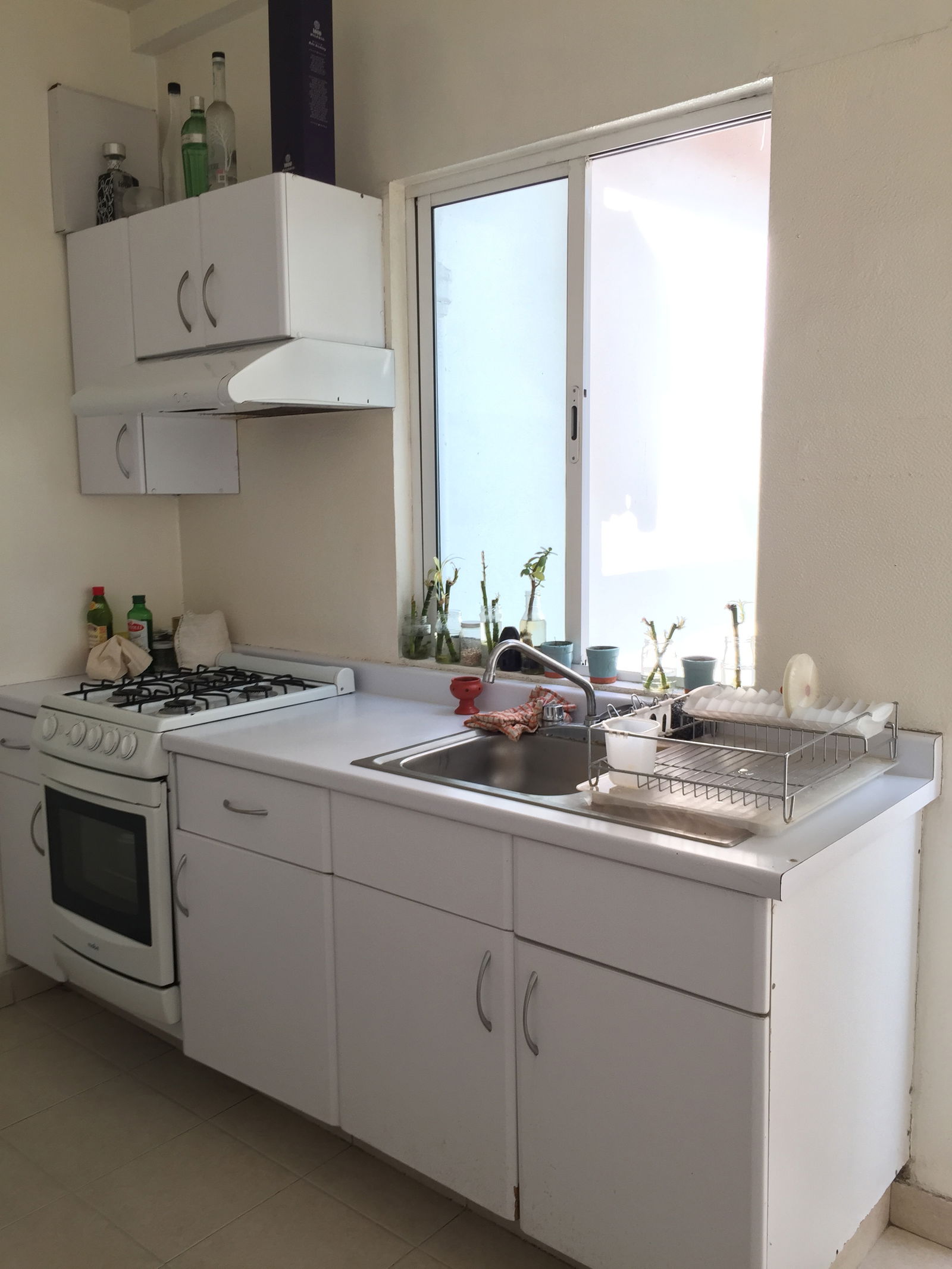 Gastfamilie México D.F. 232923