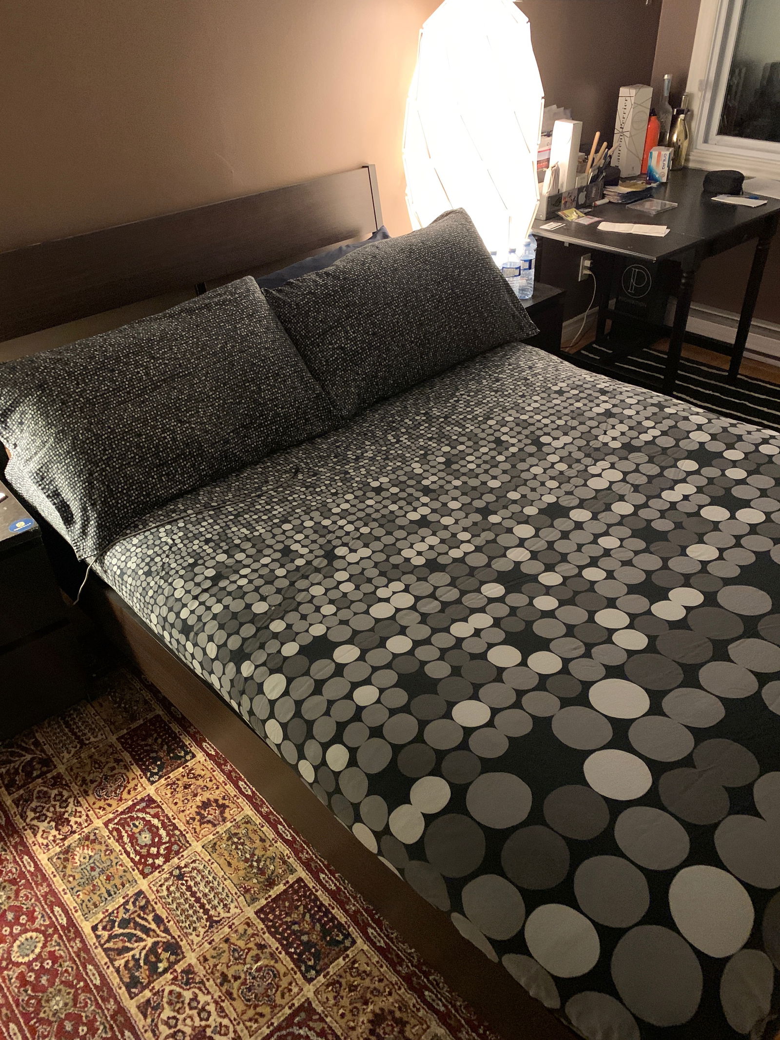 Kolokation Montréal 637119