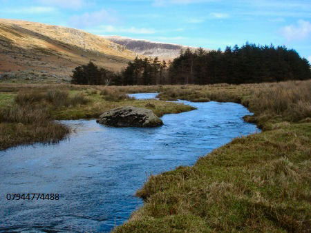 Gastfamilie Llanllechid 161287