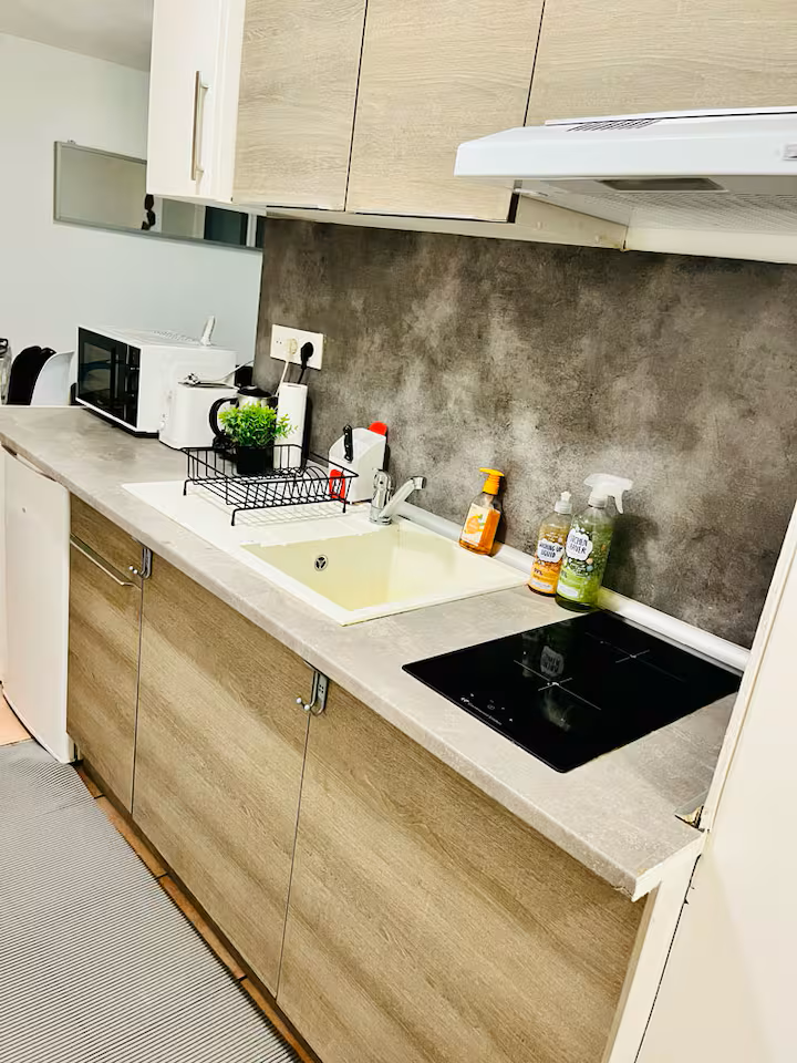 Logement Entier Ambilly 659167