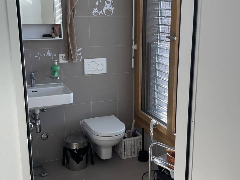 Chambre Chez L'habitant Plan-les-Ouates 514324-4