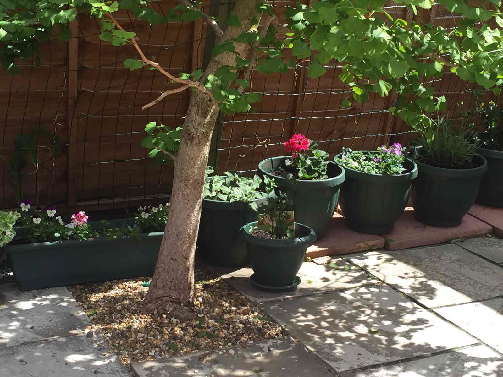 Gästezimmer London 123373