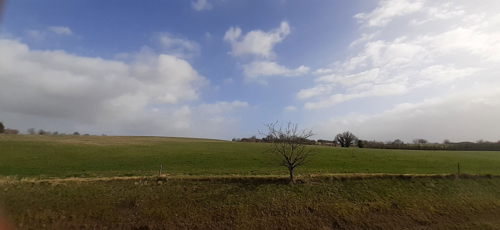 Gastfamilie Écommoy 256831