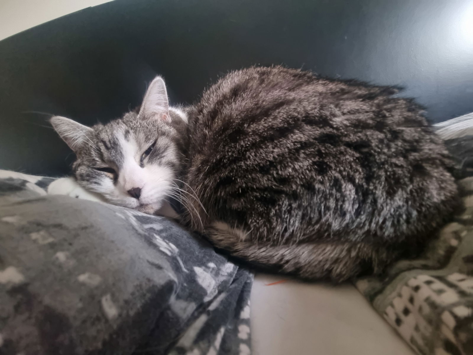 Gastfamilie Grenoble 332598