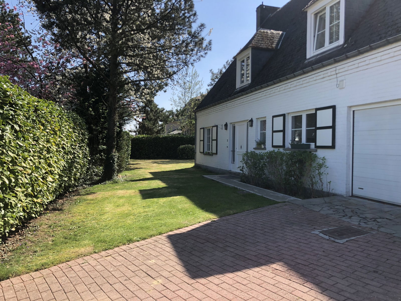 Gastfamilie Waterloo 263146