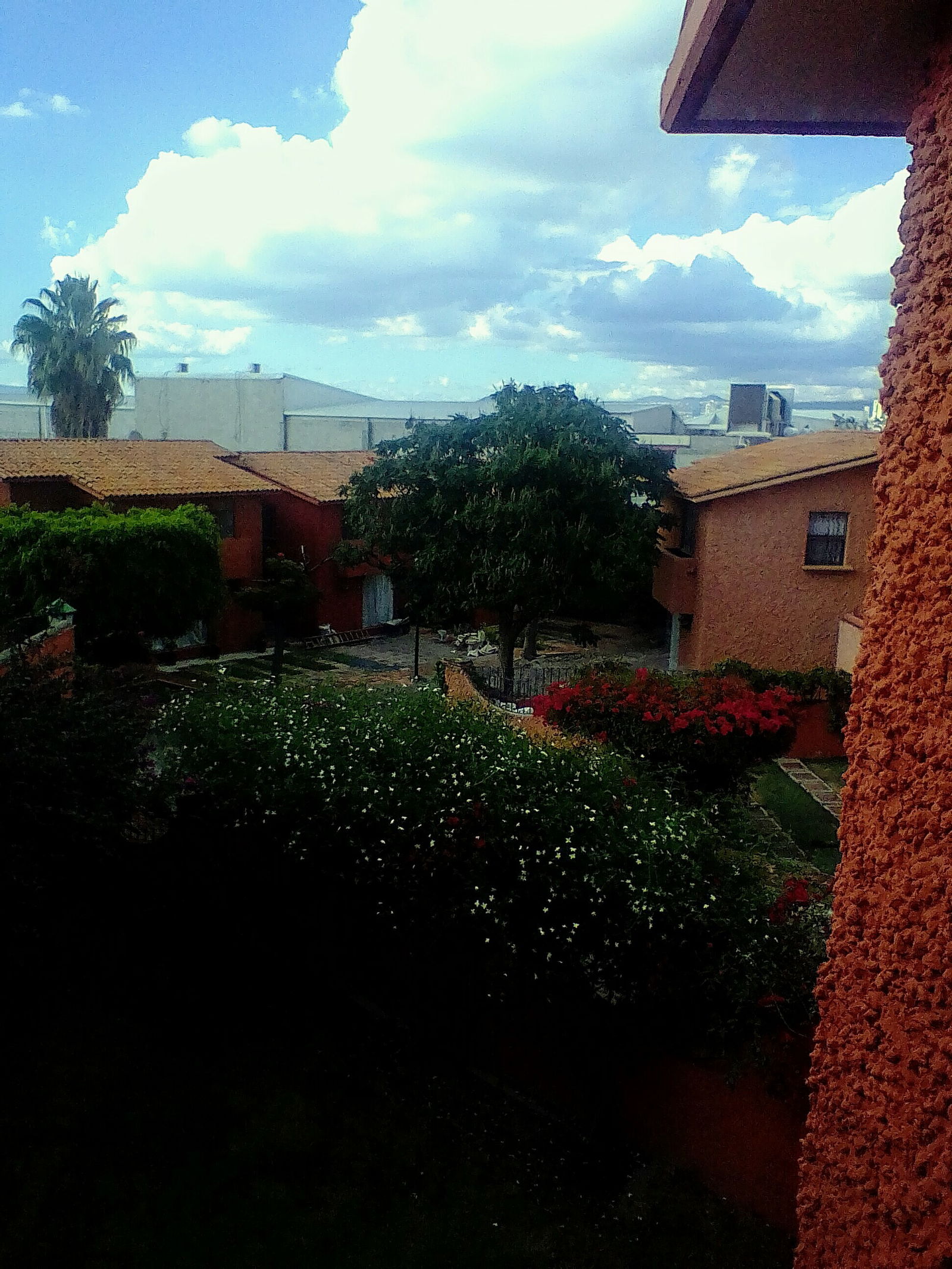 Gastfamilie Santiago de Querétaro 233289