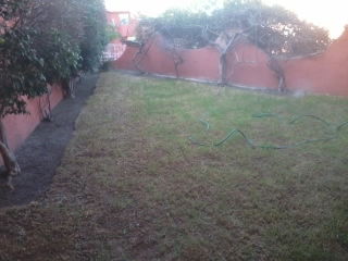 Gastfamilie Santiago de Querétaro 233289