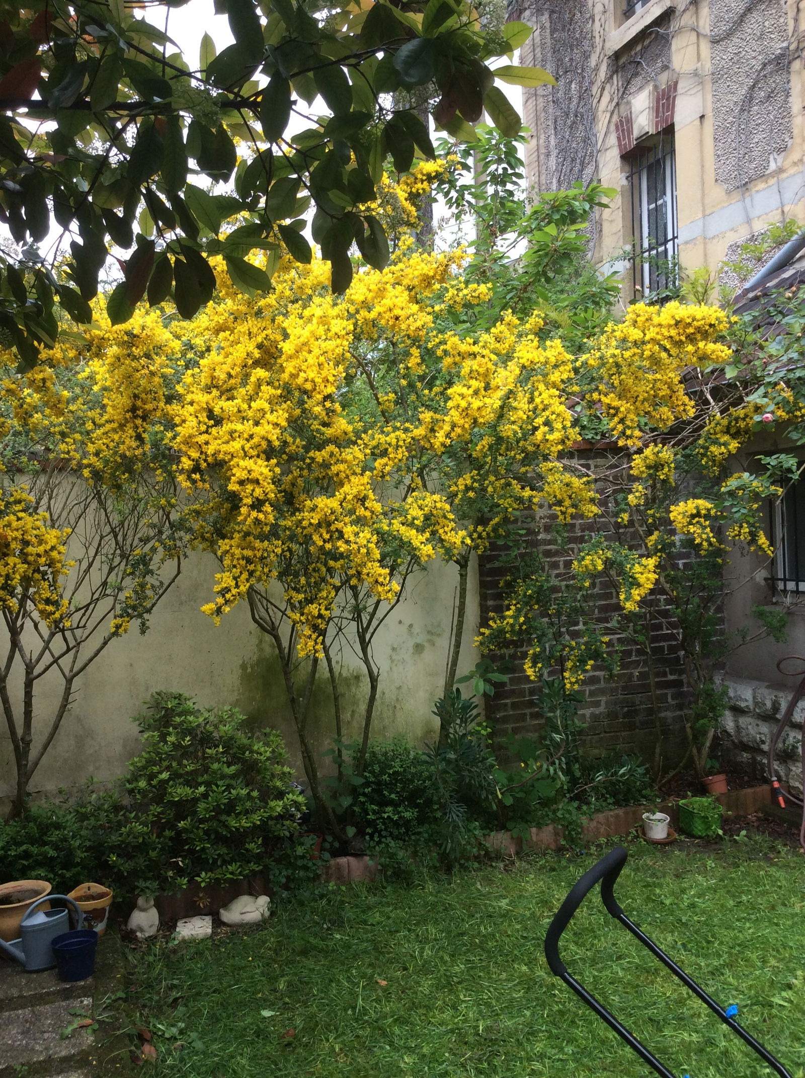 Gastfamilie Gouvieux 243899