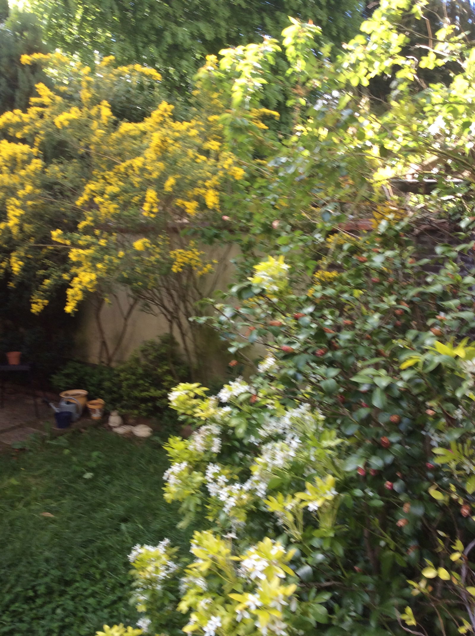 Gastfamilie Gouvieux 243899