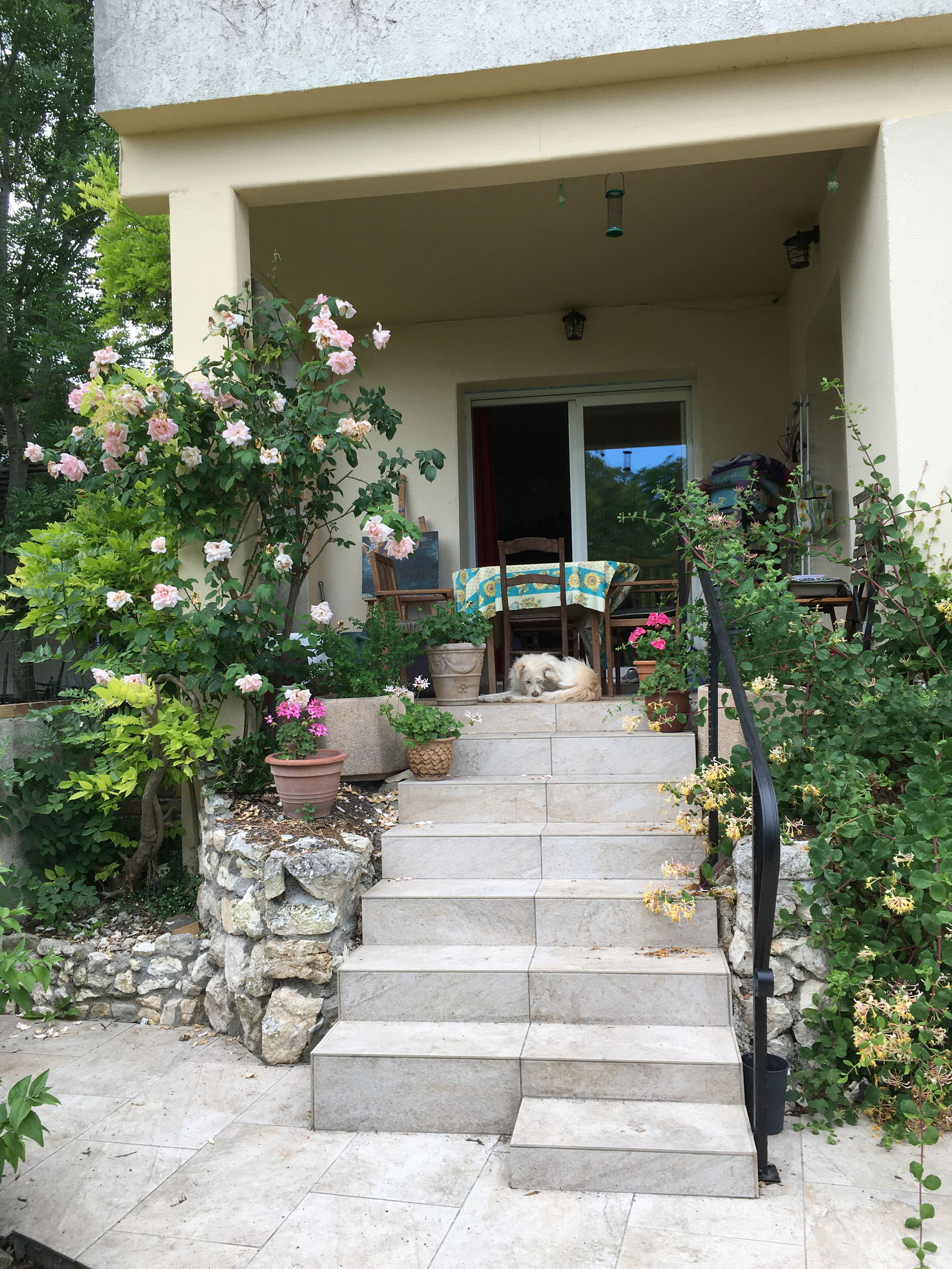 Gastfamilie Moret-Loing-et-Orvanne 399582