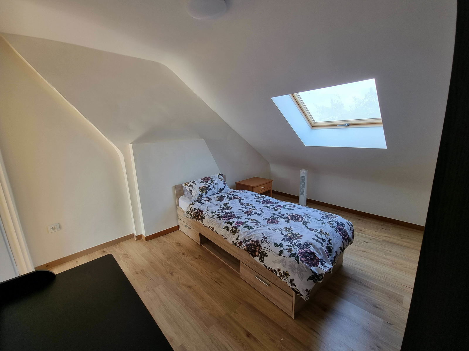 Kolokasie Charleroi 260422