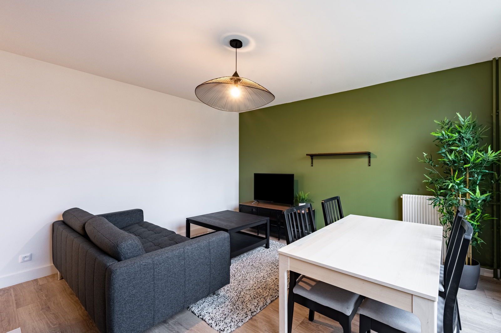 Colocatie Pontoise 255908