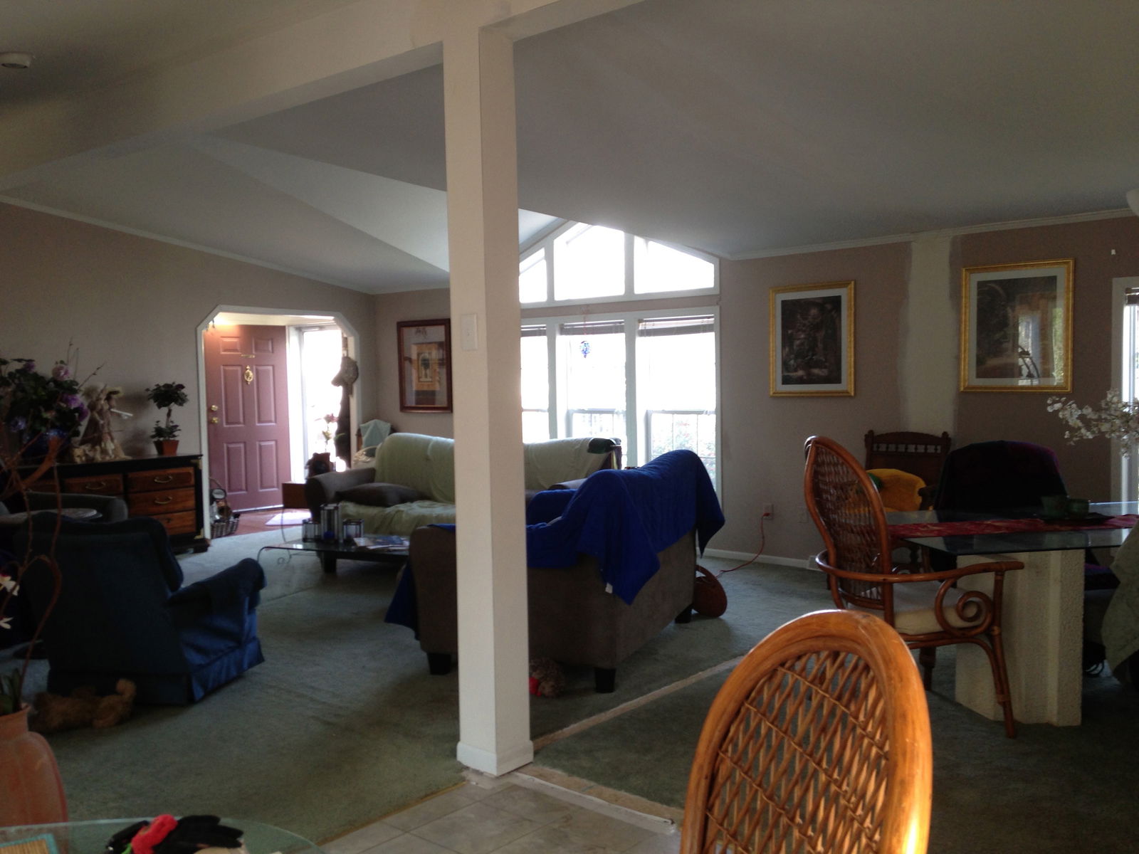 Kolokasie Long Neck 115354